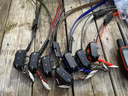 Pack Garmin Télécommande Astro 320 avec 07 Colliers TT15