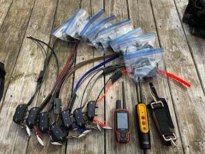 Pack Garmin Télécommande Astro 320 avec 07 Colliers TT15