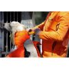 Chaleco Protect PRO L’ORIGINAL®