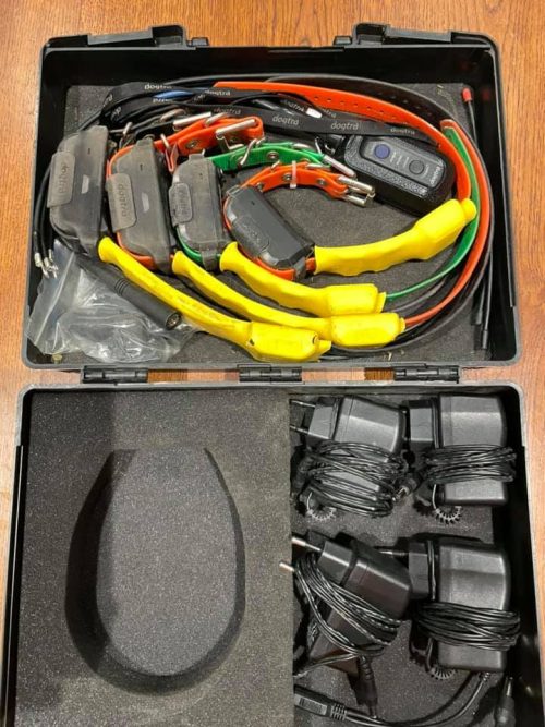 Pack Dogtra: Conector + 02 collares estándar + 02 collares Mini