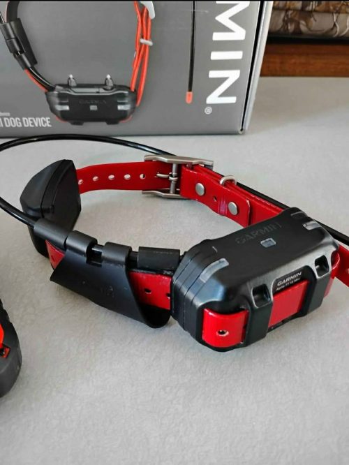 Pack Garmin Télécommande Alpha 10 et 01 Collier TT15 Mini