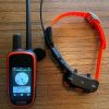 Pack Garmin Télécommande Alpha 100 et Collier TT15 Mini