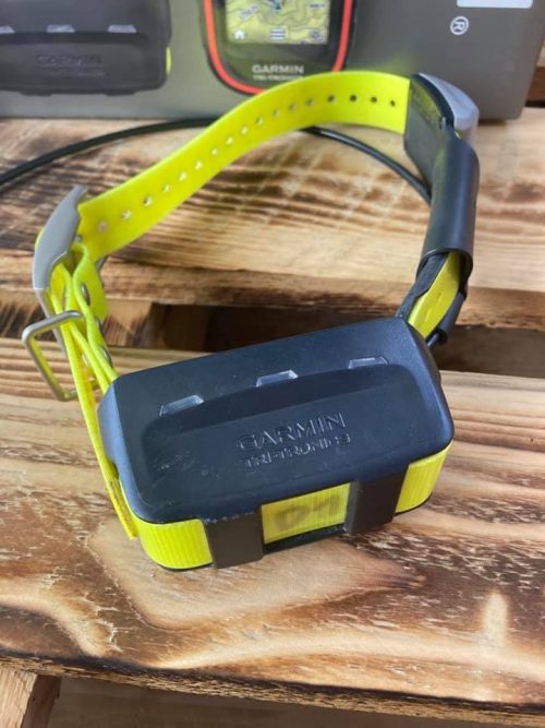 Pack Télécommande Alpha 100 et 01 Collier Garmin T5 Mini
