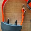 SportDOG Brand SportTrainer 1275E (OCCASION)