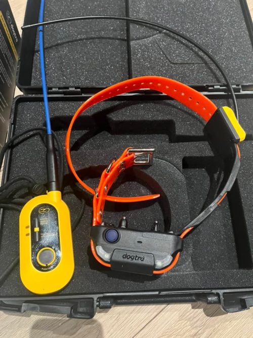 Pack Dogtra Pathfinder 2 (Conector + collar)