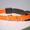 Pack 03 colliers + dogtra pathfinder v2