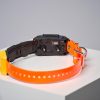 Pack 03 colliers + dogtra pathfinder v2